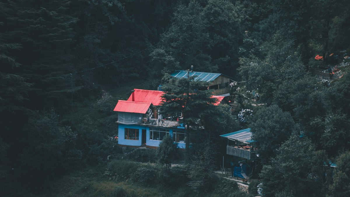 live music in dharamshala